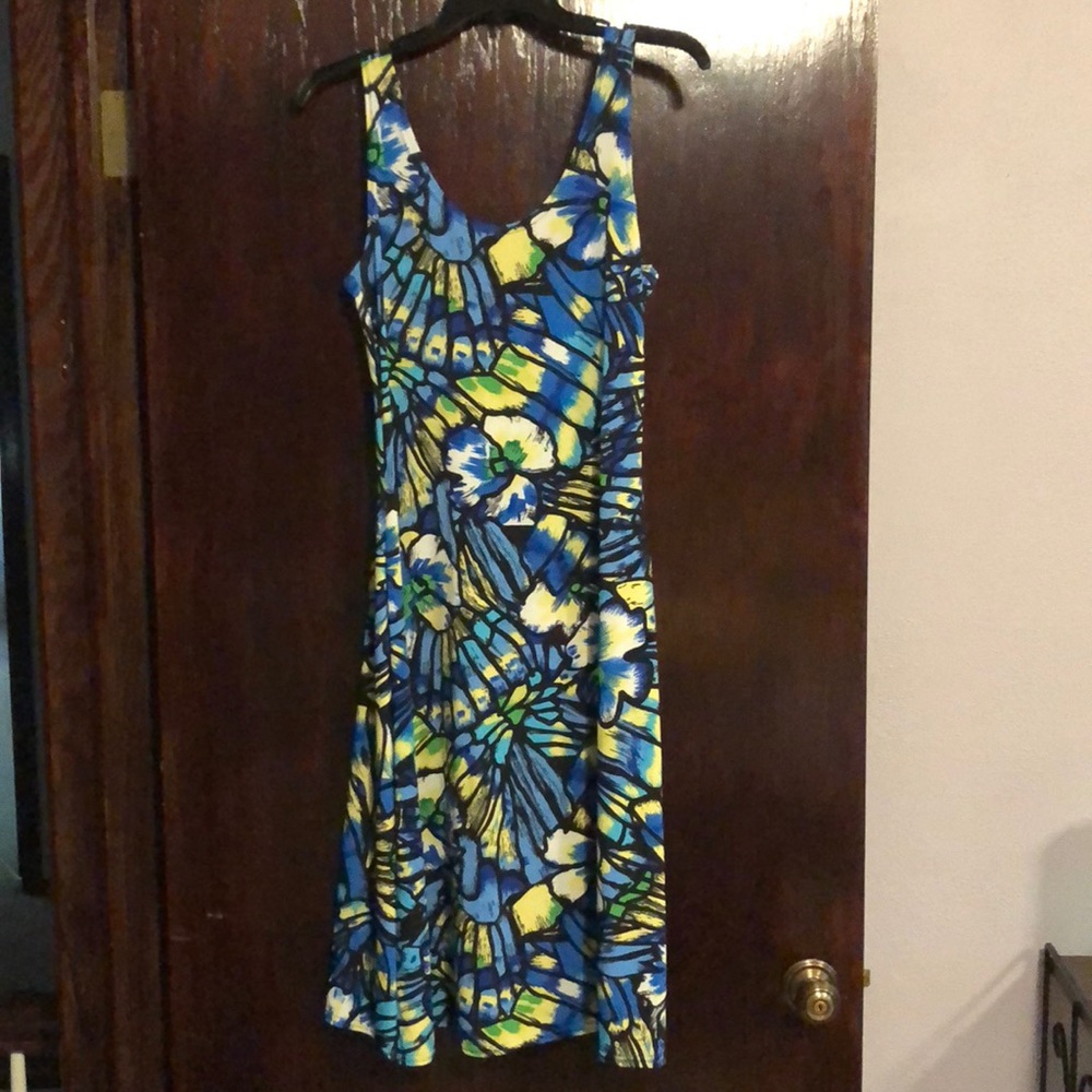 Multi-colored Dress
